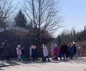 Lublinianie pożegnali zimę i powitali wiosnę! W Ogrodzie Botanicznym odbyło się topienie Śmiercichy