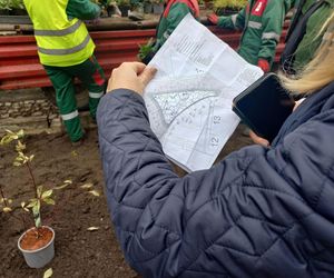 Zamiast asfaltu klomby z roślinami. Zmiany na Tylnej i Wałowej w Lesznie