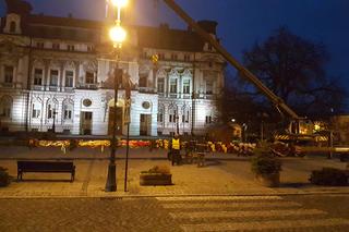  Gigantyczna palma wielkanocna  w Nowym Sączu