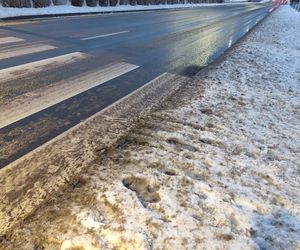 Śnieżna noc za nami. Czy zima zaskoczyła mieszkańców Poznania? 