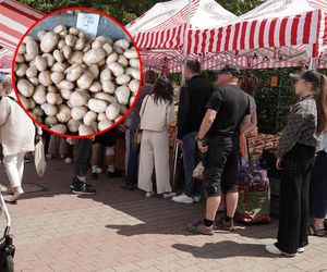 Euforia na straganie! Młode ziemniaczki robią furorę!