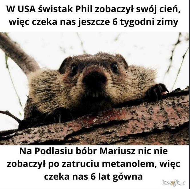 Najlepsze memy o Podlasiu. Zobacz najciekawsze memy o województwie podlaskim. Ubaw do łez!