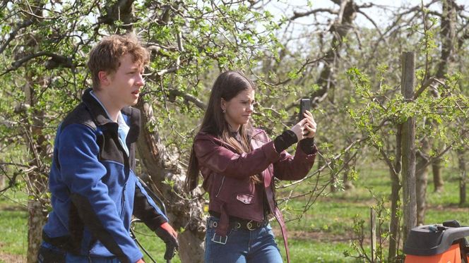 M jak miłość odc. 1873. Basia (Karina Woźniak), Kacper (Bartosz Ziewiec)