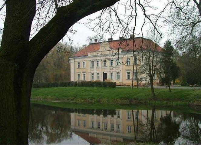 Pałac w Goli