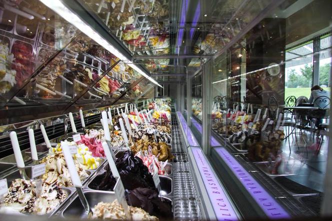 Gdzie zjeść lody w Warszawie? Zobaczcie TOP 10 najlepszych lodziarni w mieście! [RANKING]