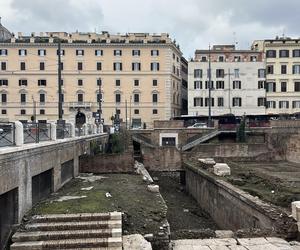 Largo Argentina w Rzymie. Koty zamieszkały w starożytnych ruinach - zobacz zdjęcia