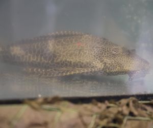 ZooPark ponownie przyciągnął do Targów Lublin tłumy miłośników zwierząt