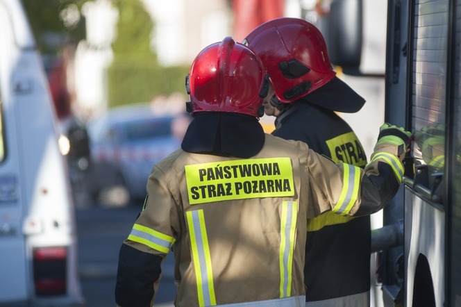Znów pożar na poligonie w Toruniu. Z ogniem walczyło kilkanaście zastępów straży