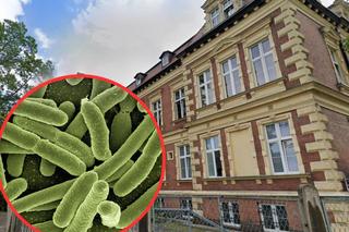 Legionella w szpitalu w Chorzowie. Podjęto pilne działania