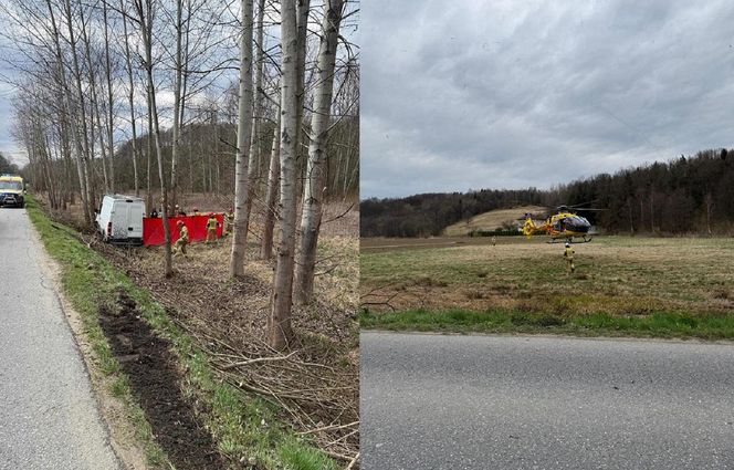 Czermna. Dostawcze IVECO roztrzaskało się na drzewie. Nie żyje kierowca