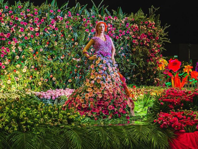 Ponad 100 000 roślin i pięć niezwykłych światów – rusza World Flower Show w Polsce!