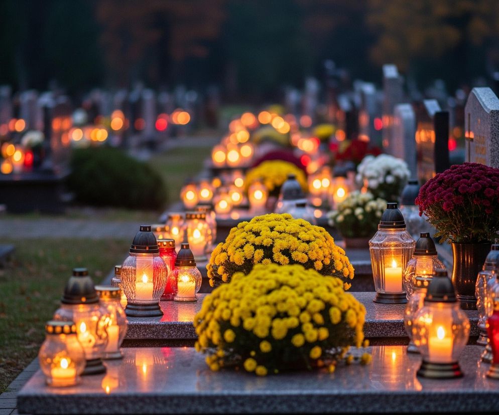Cmentarz o zmierzchu lub w nocy, oświetlony licznymi zniczami. Na pierwszym planie, na nagrobku, widać szereg szklanych zniczy, głównie przezroczystych ze świecami o ciepłym, pomarańczowo-żółtym świetle, oraz jeden czerwony znicz. Obok nich znajdują się bukiety żółtych chryzantem oraz jeden bukiet bordowych kwiatów w ciemnej doniczce. W tle rozciąga się aleja cmentarna, na której widać dziesiątki rozmazanych świateł zniczy, tworzących smugę ciepłego blasku wśród ciemnych kształtów nagrobków. Ogólny nastrój jest spokojny i refleksyjny, z dominującymi barwami ciemnego granatu tła i jaskrawych pomarańczowo-żółtych świateł.