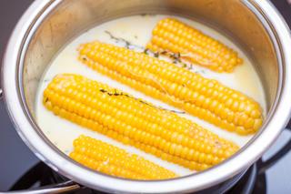 Jak ugotować kukurydzę? Bajeczne sposoby na obłędnie pyszną kolbę. Kukurydza będzie żółciutka i miękka, ale chrupiąca 