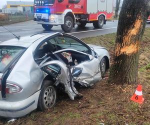 Matka i dzieci poszkodowane w wypadku koło Leszna