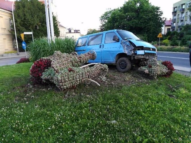 Ukrainiec zderzył się ze słoniami w Przeworsku