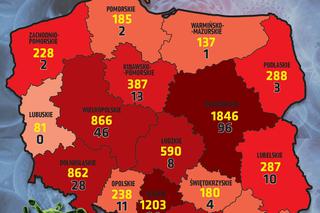 Koronawirus w Polsce. Najnowsze dane 17.04 godz. 10