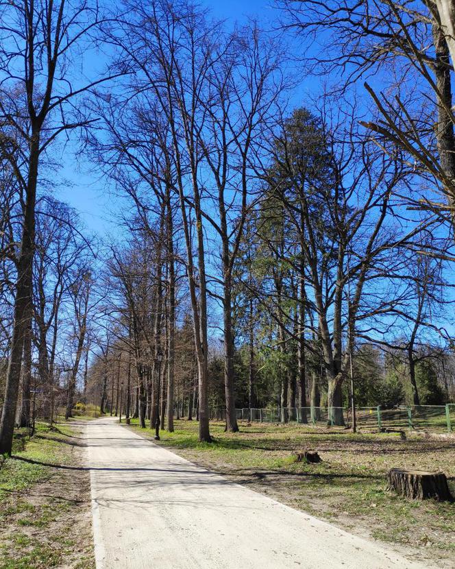 Nowa atrakcja turystyczna w Białowieży