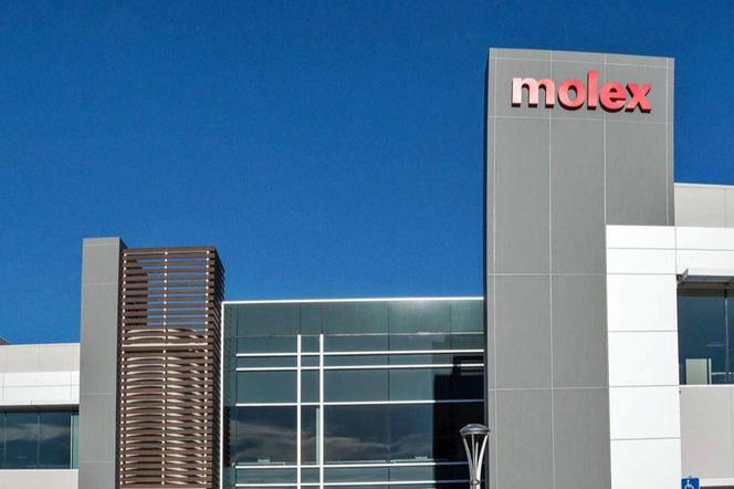 Firma Molex zatrudni ponad 300 pracownikow w Katowicach