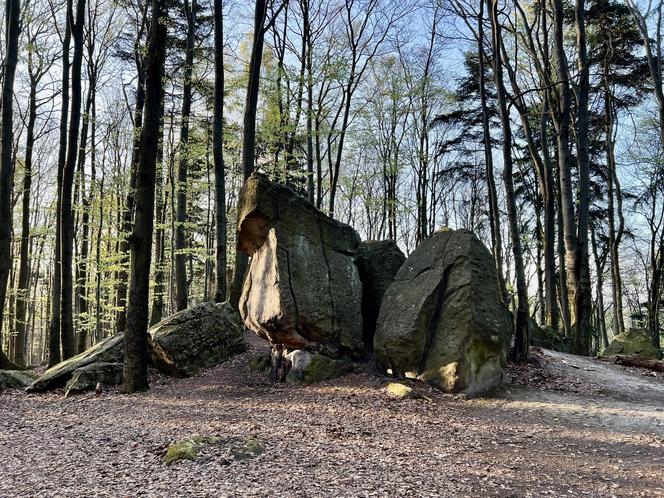 Świętokrzyskie. Bukowa Góra