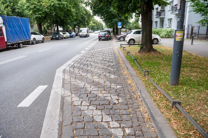 Francuska będzie zielona