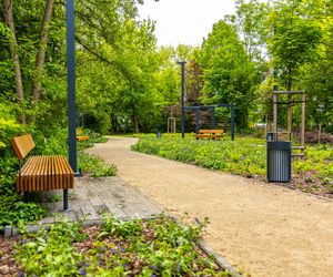 Park linearny przy ul. Suwak w Warszawie