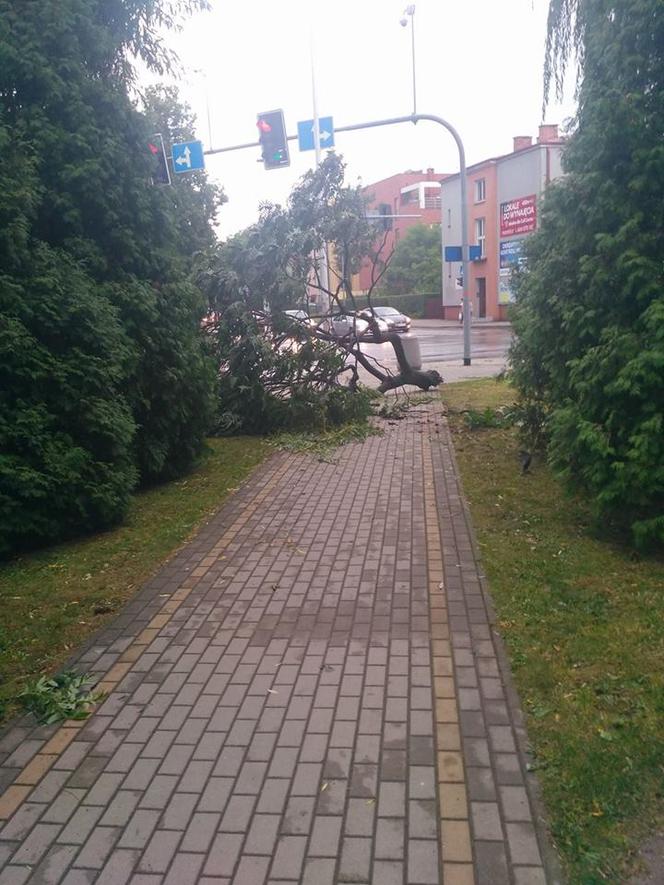 Skutki burzy w Rzeszowie