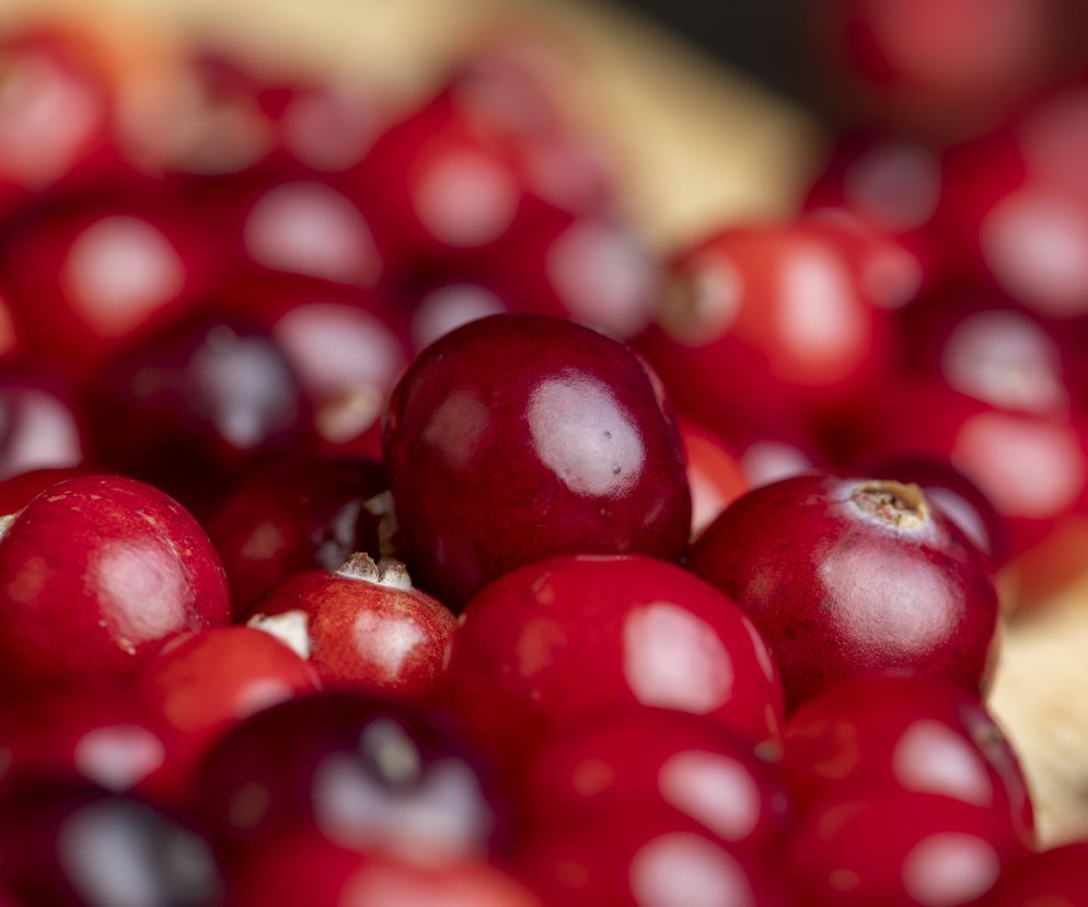 Nasze babcie miały rację. Jest jeden owoc, który chroni przed bolesną dolegliwością