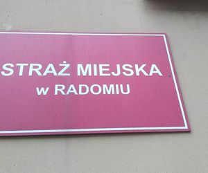 Ponad 600 interwencji straży miejskiej dotyczących parkowania w trakcie wakacji 