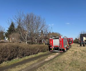 Rodzina z Tarnowa straciła dach nad głową. Ich dom spłonął doszczętnie