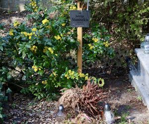 Tak wygląda grób prof. Staniszkis rok po jej śmierci 