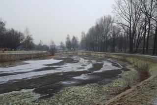 Park Grabek w Czeladzi