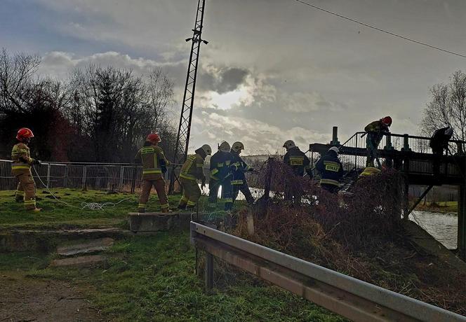 Strażacy z Nietuliska uratowali sarenkę