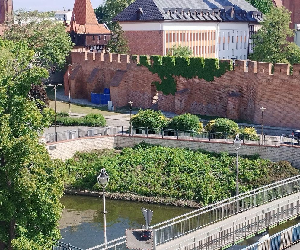 Wiek przyczyną osunięcia się murów obronnych na ul. Baldego w Opolu