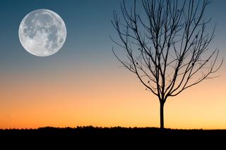 Pierwsza pełnia Księżyca w 2024 i już taki zwrot akcji. Te znaki zodiaku muszą uważać!