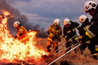Pożar w Biebrzańskim Parku Narodowym - 30.03.2025