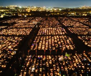 1 listopada na Cmentarzu Łostowickim w Gdańsku. Tak wygląda w dniu Wszystkich Świętych