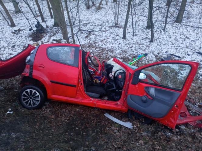 Śmiertelny wypadek w Parkowie. Dwie osoby nie żyją. 