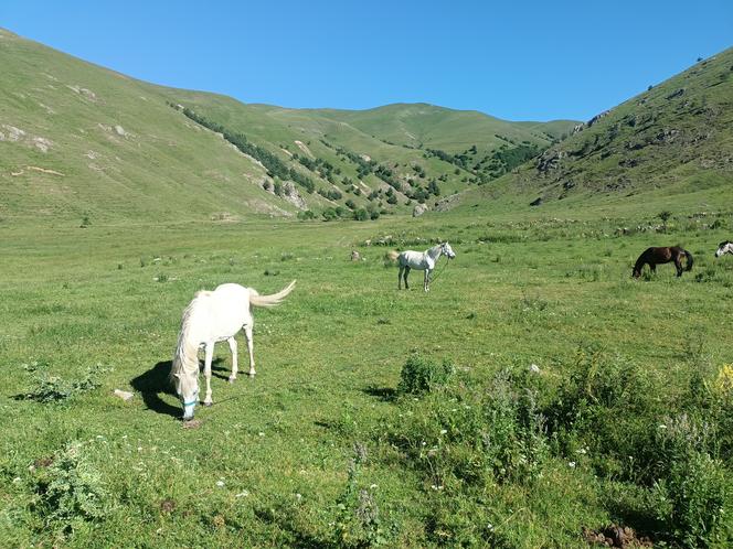 Mały Kaukaz