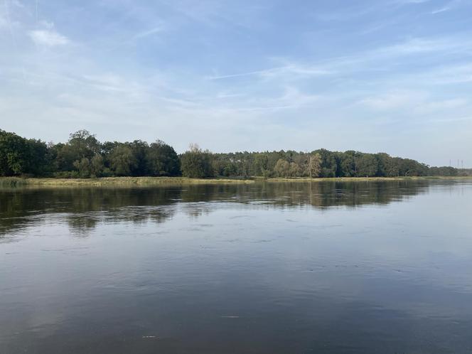 Rzeka Odra w okolicy Lasu Odrzańskiego