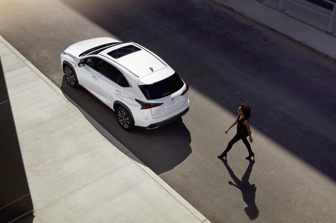 Lexus NX lifting 2018