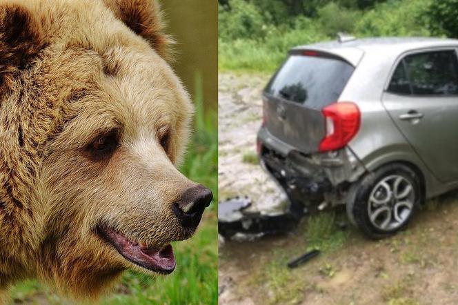 Bieszczady: Niedźwiedź postanowił włamać się do samochodu, bo poczuł jedzenie w środku