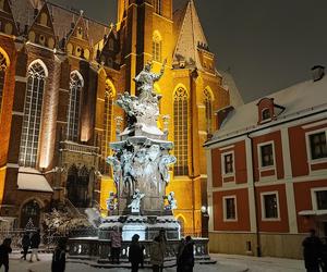 Ostrów Tumski we Wrocławiu w zimowej odsłonie. To miejsce trzeba odwiedzić [zdjęcia]