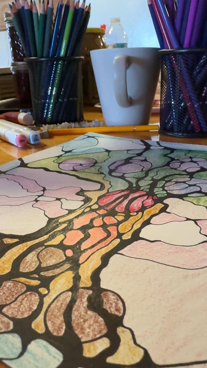 Morsy z Chicago poszukały ochłody w Michigan