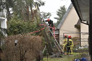 Wichura w Warszawie. Duże straty w mieście