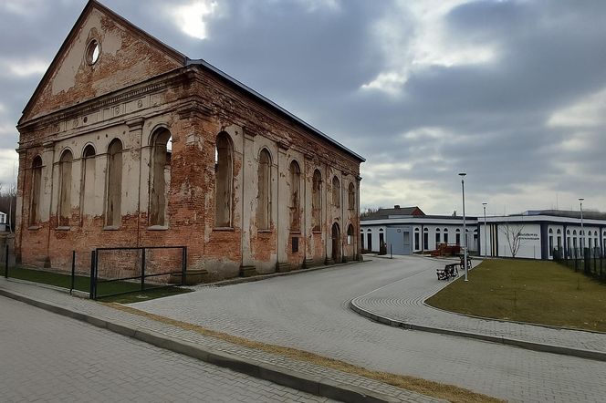 Działoszyce