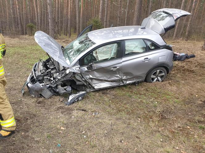 Sprawca wypadku na DK 10 pod Bydgoszczą wciąż nieznany! Ściga go policja [ZDJĘCIA] 