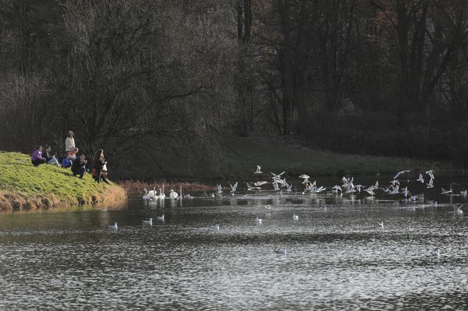 Tak ciepło zimą jeszcze nie było. W Warszawie padł rekord! Nieprawdopodobne, ile wskazywały termometry 1 stycznia