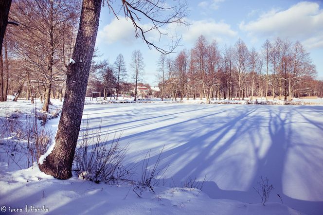 Czarniecka Góra - klimatyczna wieś w Świętokrzyskiem