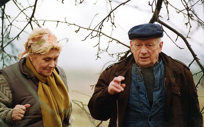 Teresa Lipowska i Witold Pyrkosz w "M jak miłość"