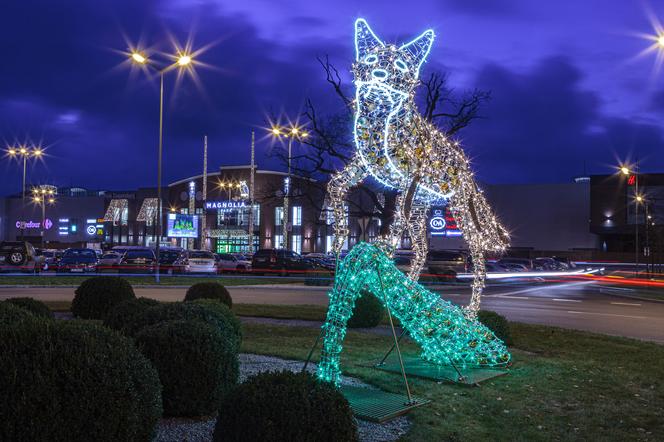 Dekoracje świąteczne w Magnolia Park